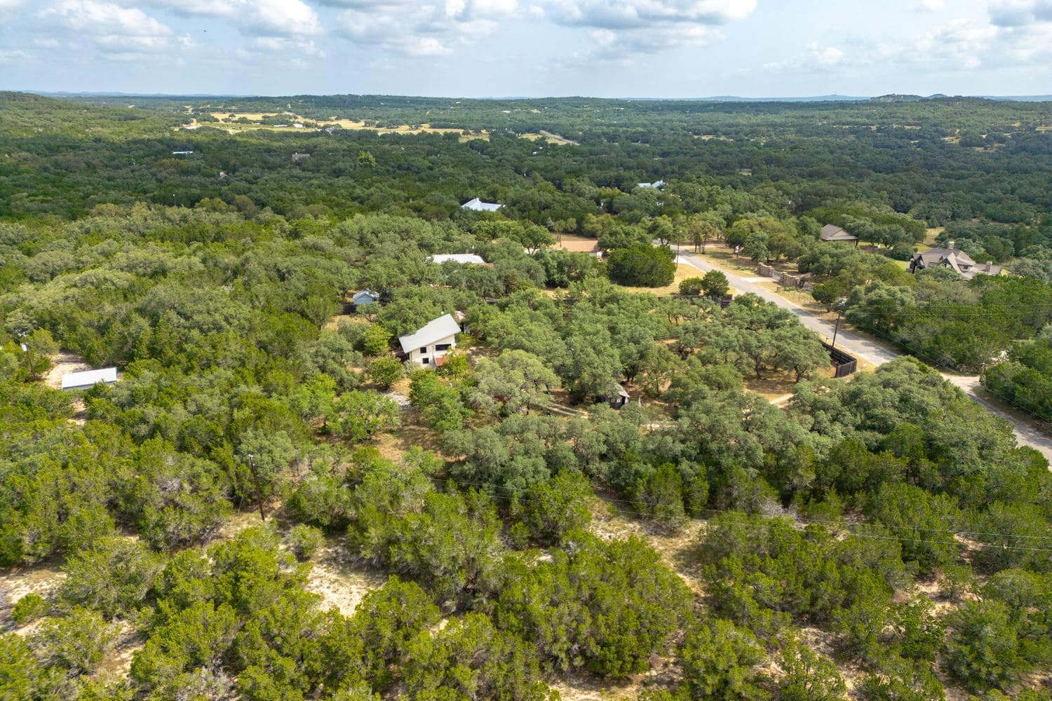 500 Ridge Oak Drive: the wooded acreage